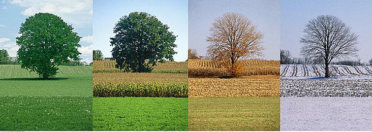 《碧蓝航线：微速前行》第二季宣布制作 新PV发布